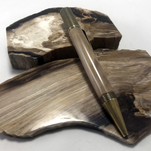 Petrified Wood Pen